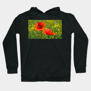 Wild Red Poppies Hoodie